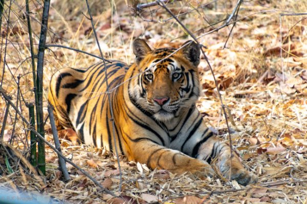 Kraken 9 at клиар ссылка